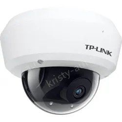 H.265 3 million vandal-proof wireless IP camera