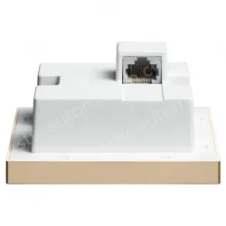 AX3000 Dual-Band Wi-Fi 6 Wireless Panel AP Champagne Gold