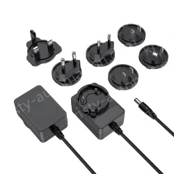 Multi-specification interchangeable pin power adapter 24V2A