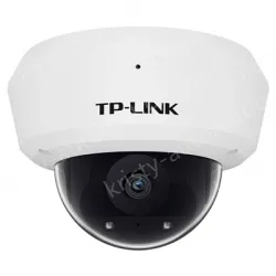 H.265 3 million vandal-proof infrared IP camera