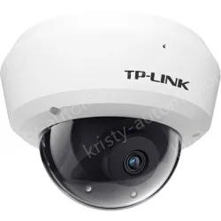 H.265 3 million vandal-proof wireless IP camera