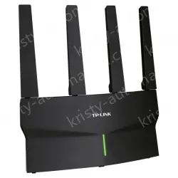 AX5400 Dual-band Gigabit Wi-Fi 6 wireless router