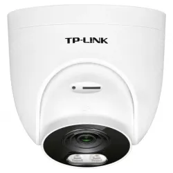 5,000,000 pixel dome dual-light vigilance network camera