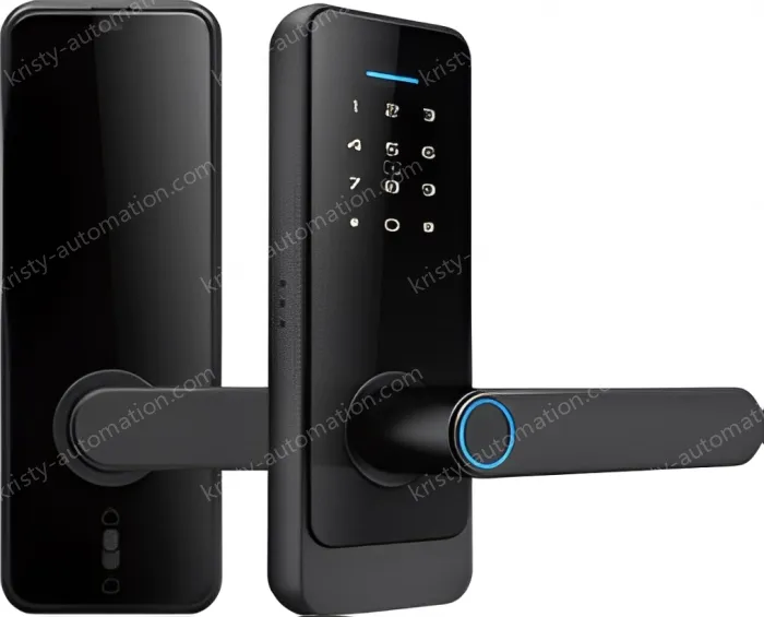 Smart door lock C89