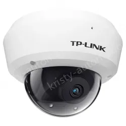 H.265 3 million vandal-proof infrared IP camera