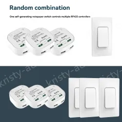 1 controller + 2 self-generating switches