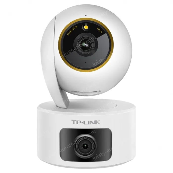 Dual-camera full-color PTZ wireless IP camera