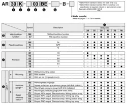 AR20-AR60-B Series Modular Type Regulator With Backflow Function Option