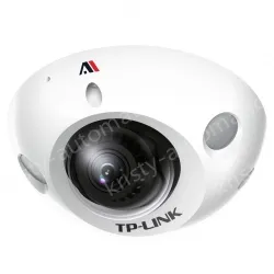 3 million AI intelligent anti-riot network cameras