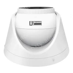 300W Hemispherical Starlight Alert IP Camera