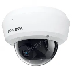 H.265 4 million vandal-proof IP camera