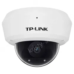 H.265 4 million vandal-proof IP camera