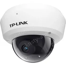 H.265 3 million vandal-proof wireless IP camera