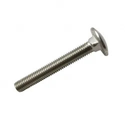 Big head carriage bolt M10*120