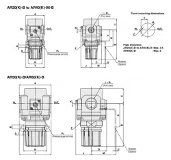 AR20-AR60-B Series Modular Type Regulator With Backflow Function Option
