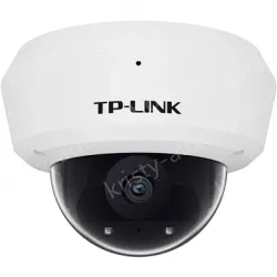H.265 3 million vandal-proof wireless IP camera