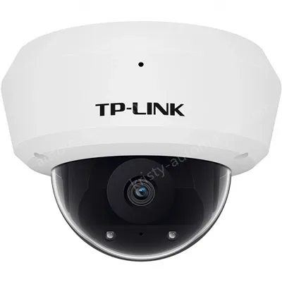 H.265 3 million vandal-proof wireless IP camera