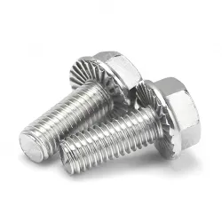 Hexagonal flange screws