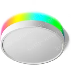 Smart lamps ZJ-BWBL-RGBWW-24W