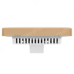 300M Wireless Panel AP Champagne Gold