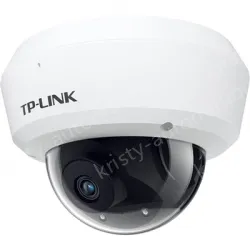 H.265 3 million vandal-proof wireless IP camera