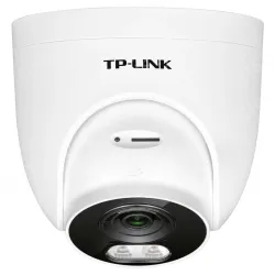 400W pixel wireless dome dual-light vigilance IP camera