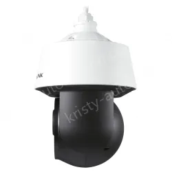 4,000,000 pixel trinocular zoom infrared network high-speed dome machine