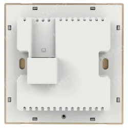 AX1800 dual-band Gigabit Wi-Fi 6 wireless panel AP Champagne Gold